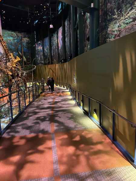 Long Stretch Of Dinosphere Rampway Lit By Abacus Surface Lights