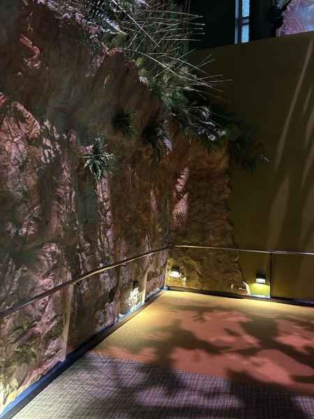 Dinosphere Rampway Corner Lit By Abacus Surface Lights