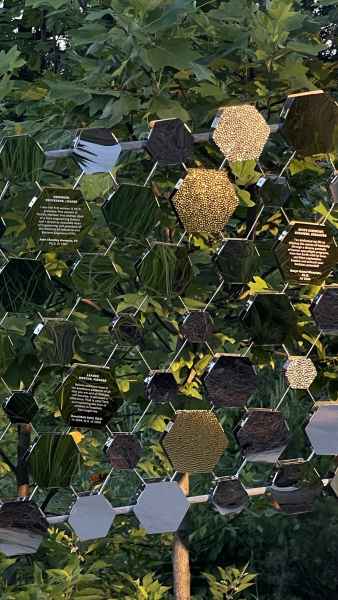 MERICA MAY JENSE INSTALLATION